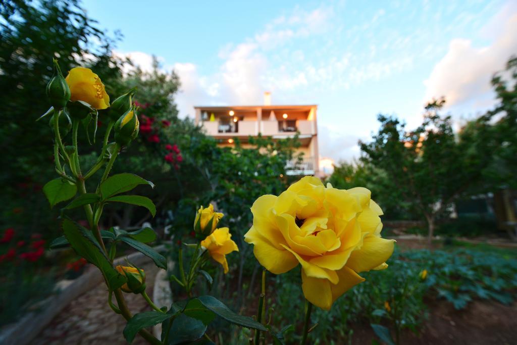 Apartments Silvana Sunset View Zadar Luaran gambar